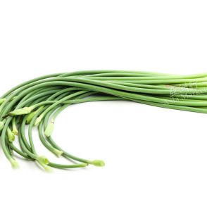 FRESH Garlic Shoots (Scapes) 1 Branch
