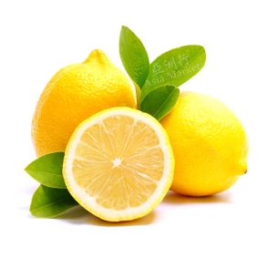 FRESH Lemon 1pc