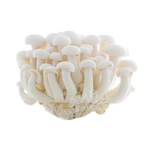 FRESH White Mushrooms (Shimeji) 150g