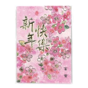 Small Lucky Red Envelope Set 2(Pink) - Xīn Nián Kuài Lè (Happy New Year) 