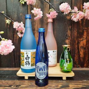 Large Sake Selection Set 1