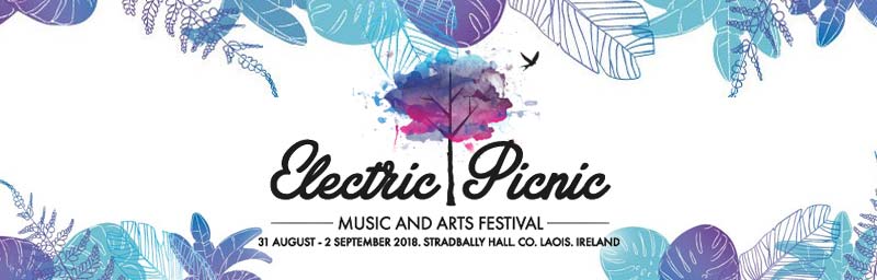 Asia Market At Electric Picnic 2018